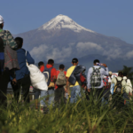 Migrantes